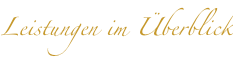 shapeimage_7_link_0
